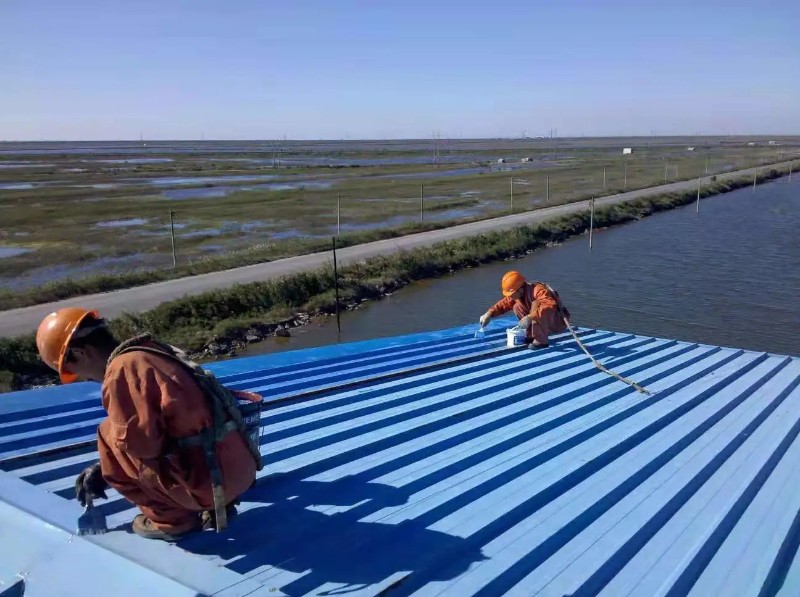 大悟钢结构屋面漏水原因